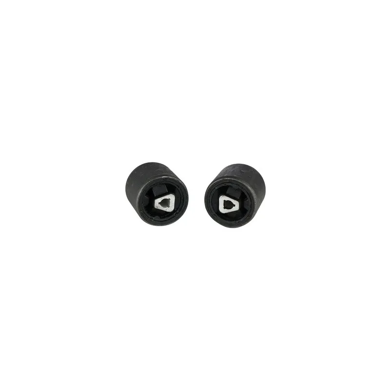 Kit de 2 silent bloc de suspension (train avant) DELPHI TD891W