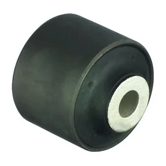 Silent bloc de suspension (train avant) DELPHI TD943W
