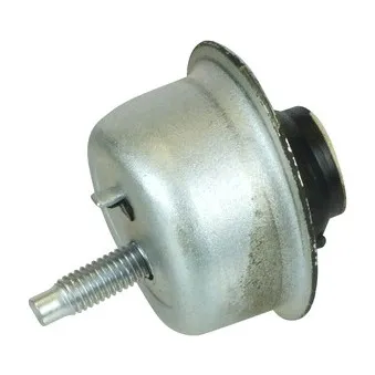 Butée élastique, suspension du moteur DELPHI TEM017