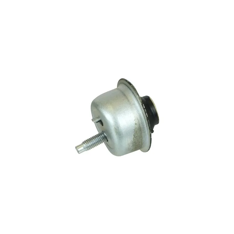 Butée élastique, suspension du moteur DELPHI TEM017