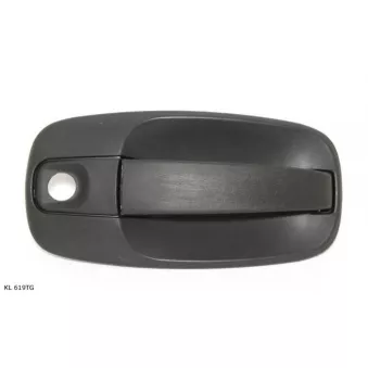 Poignée de porte TEKNÖR KL 619TG