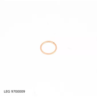 Kit de joints, injecteur TEKNÖR LEG 9700009