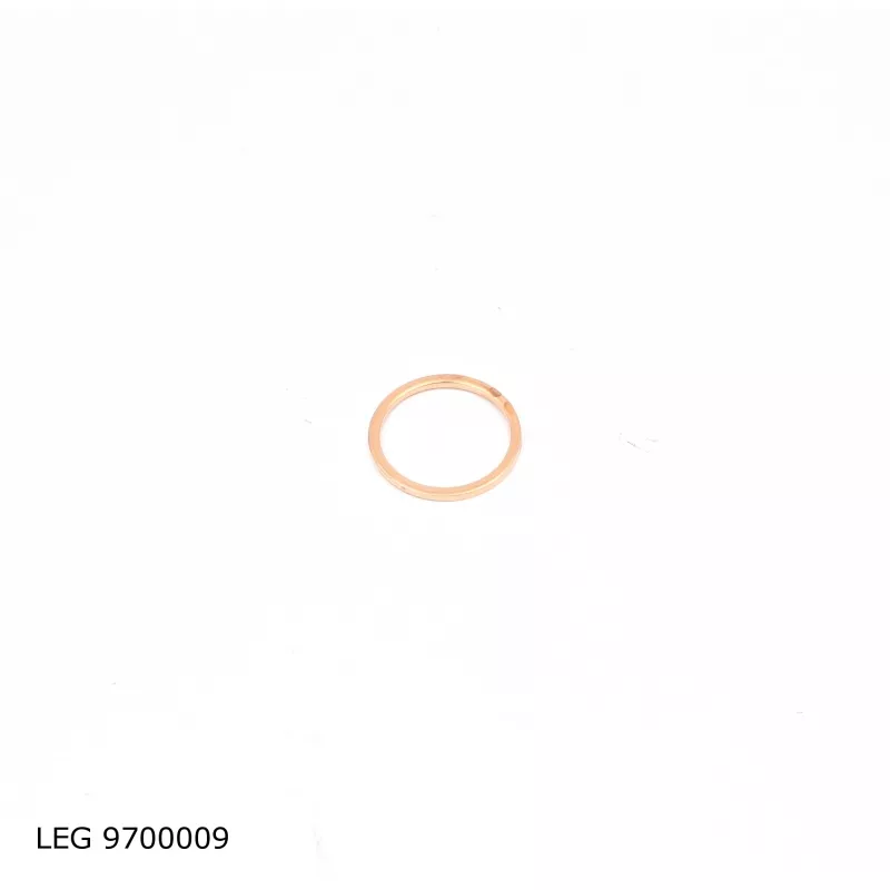 Kit de joints, injecteur TEKNÖR LEG 9700009