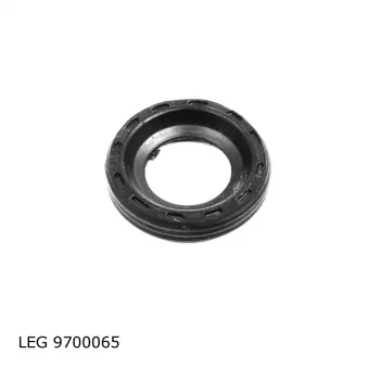 Joint d'étanchéité, porte-injecteur TEKNÖR LEG 9700065
