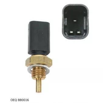 Sonde de température, liquide de refroidissement TEKNÖR OEQ 880016