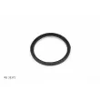 Bague d'étanchéité, gaine de suralimentation TEKNÖR RS 33372 - Visuel 2