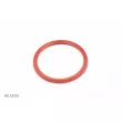 Bague d'étanchéité, gaine de suralimentation TEKNÖR RS 33373 - Visuel 1