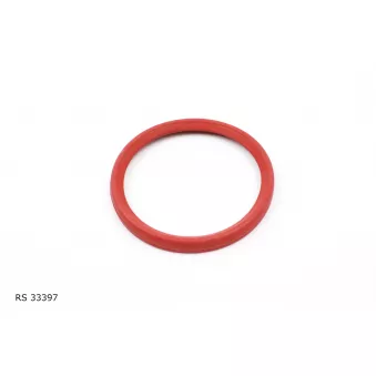 Bague d'étanchéité, gaine de suralimentation TEKNÖR RS 33397