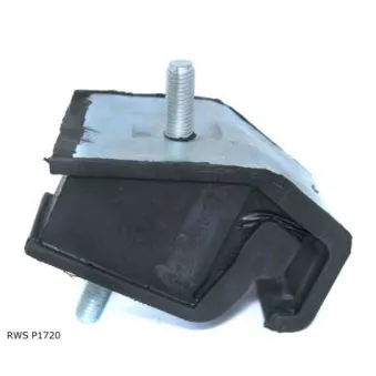 Support moteur TEKNÖR RWS P1720