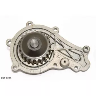 Pompe à eau TEKNÖR EXP C225