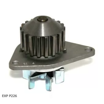 Pompe à eau TEKNÖR EXP P226
