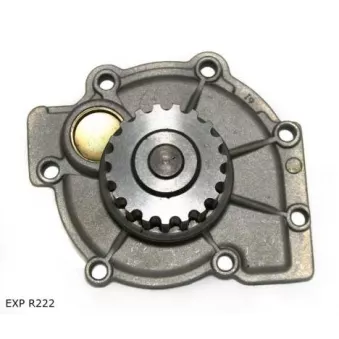 Pompe à eau TEKNÖR EXP R222