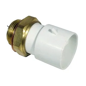 Interrupteur de température, ventilateur de radiateur DELPHI TS10290