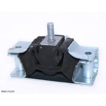 Support moteur TEKNÖR RWS P1029