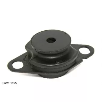 Suspension, boîte de vitesse manuelle TEKNÖR RWW H455