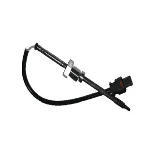 Palpeur, température des gaz DELPHI TS30049