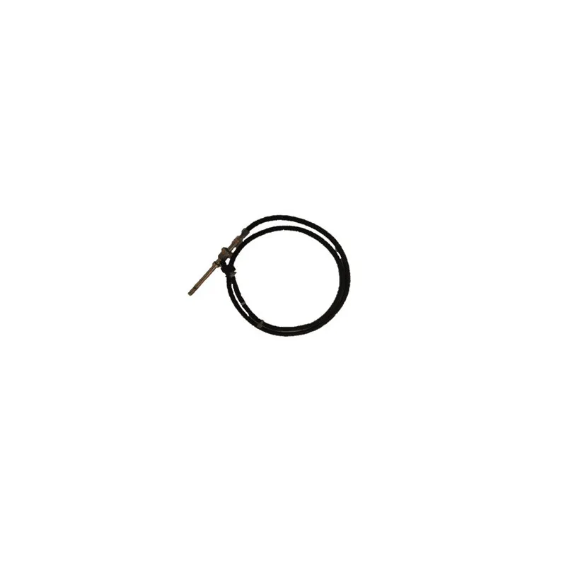 Palpeur, température des gaz DELPHI TS30054