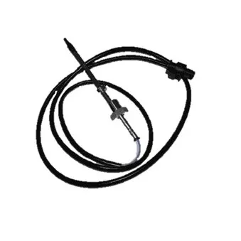Palpeur, température des gaz DELPHI TS30055