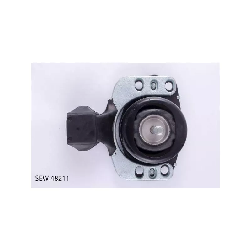 Support moteur TEKNÖR SEW 48211