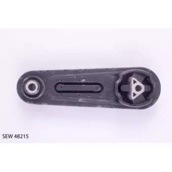 Support moteur TEKNÖR SEW 48215