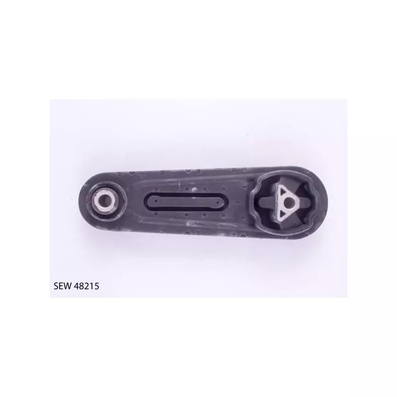 Support moteur TEKNÖR SEW 48215
