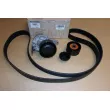 Kit de courroie d'accessoires OE 117202957R - Visuel 1