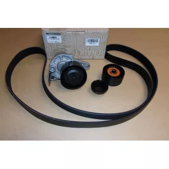 Kit de courroie d'accessoires OE 117202957R