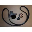 Kit de courroie d'accessoires OE 117202957R - Visuel 2