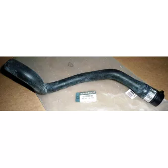 Durite de radiateur OE 8200106735