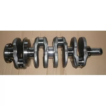 Vilebrequin OE 122013973R