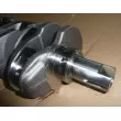 Vilebrequin OE 122013973R - Visuel 2