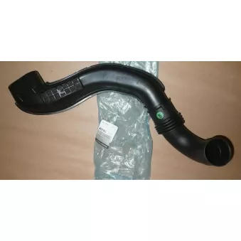 Tuyau d'aspiration, alimentation d'air OE 165555943R