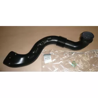 Tuyau d'aspiration, alimentation d'air OE 165558896R