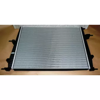 Radiateur, refroidissement du moteur OE 214100067R