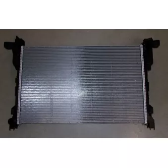 Radiateur, refroidissement du moteur OE 214103569R