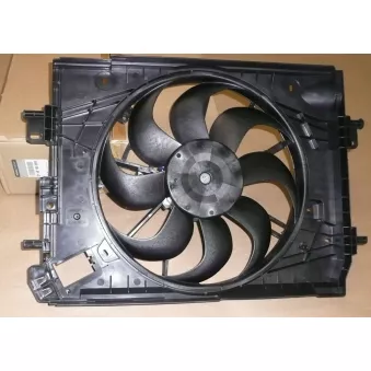 Ventilateur, refroidissement du moteur OE 214818009R