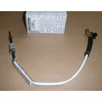 Capteur, température des gaz OE 226404122R