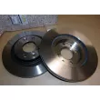 Jeu de 2 disques de frein avant OE 402065054R - Visuel 1