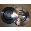 Jeu de 2 disques de frein avant OE 402065054R - Visuel 2