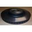 Jeu de 2 disques de frein avant OE 402065998R - Visuel 3