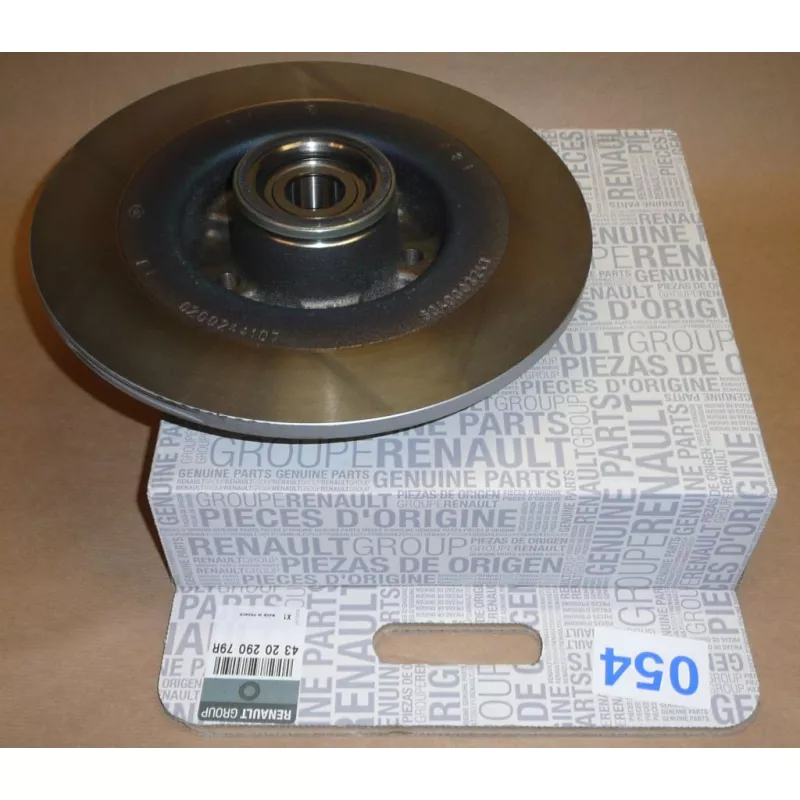 Jeu de 2 disques de frein arrière OE 432029079R