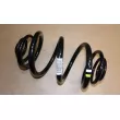 Ressort de suspension OE 550202870R - Visuel 2