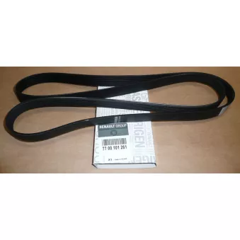 Courroie trapézoïdale à nervures OE 7700101261