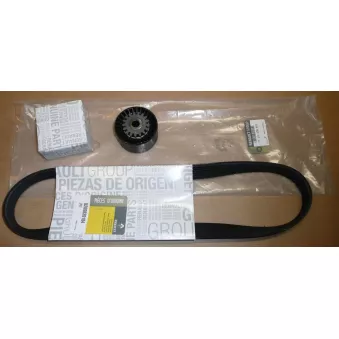 Jeu de courroies trapézoïdales à nervures OE 7701478932