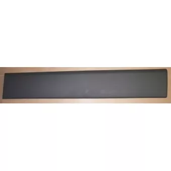 Baguette et bande protectrice, porte OE 8200036093