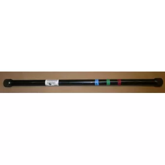 Tringlerie de barre de torsion OE 8200048905