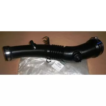 Flexible, alimentation en air OE 8200219163