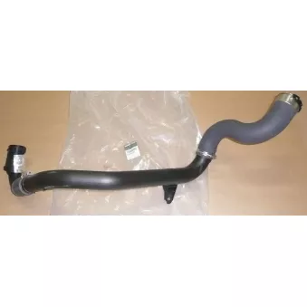 Gaine de suralimentation OE 8200962920