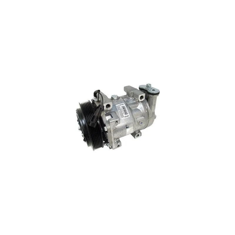 Compresseur, climatisation DELPHI TSP0159061