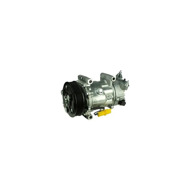 Compresseur, climatisation DELPHI TSP0159488